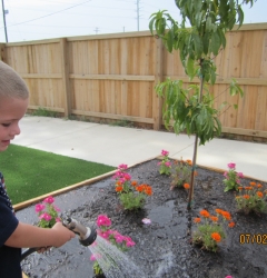 SeeSaw Children Gallery Thumbnail