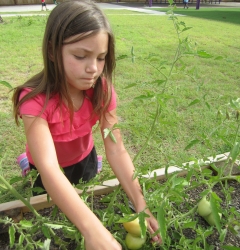 SeeSaw Children Gallery Thumbnail
