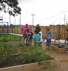 SeeSaw Children Gallery Thumbnail