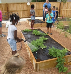 SeeSaw Children Gallery Thumbnail